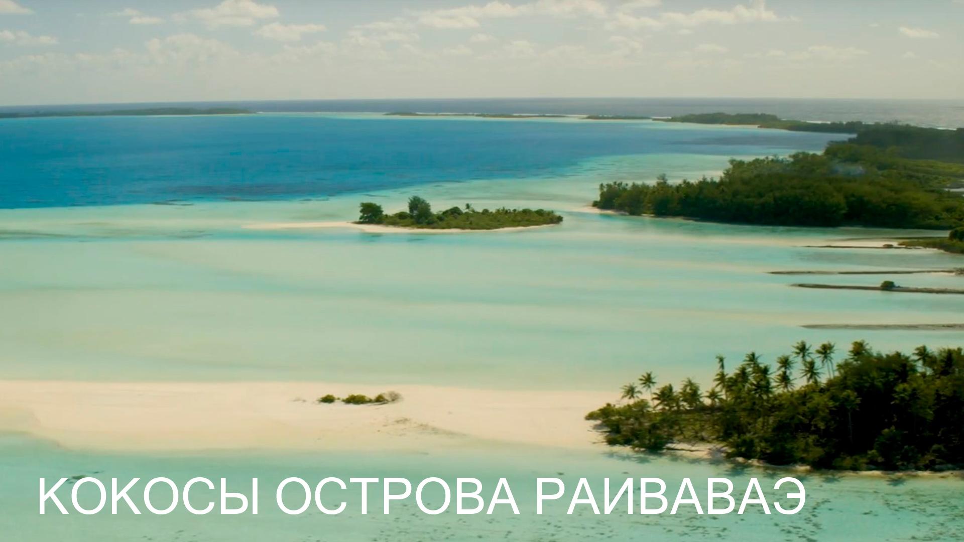 Кокосы острова Раиваваэ (kokosy-ostrova-raivavae) Документальный фильм