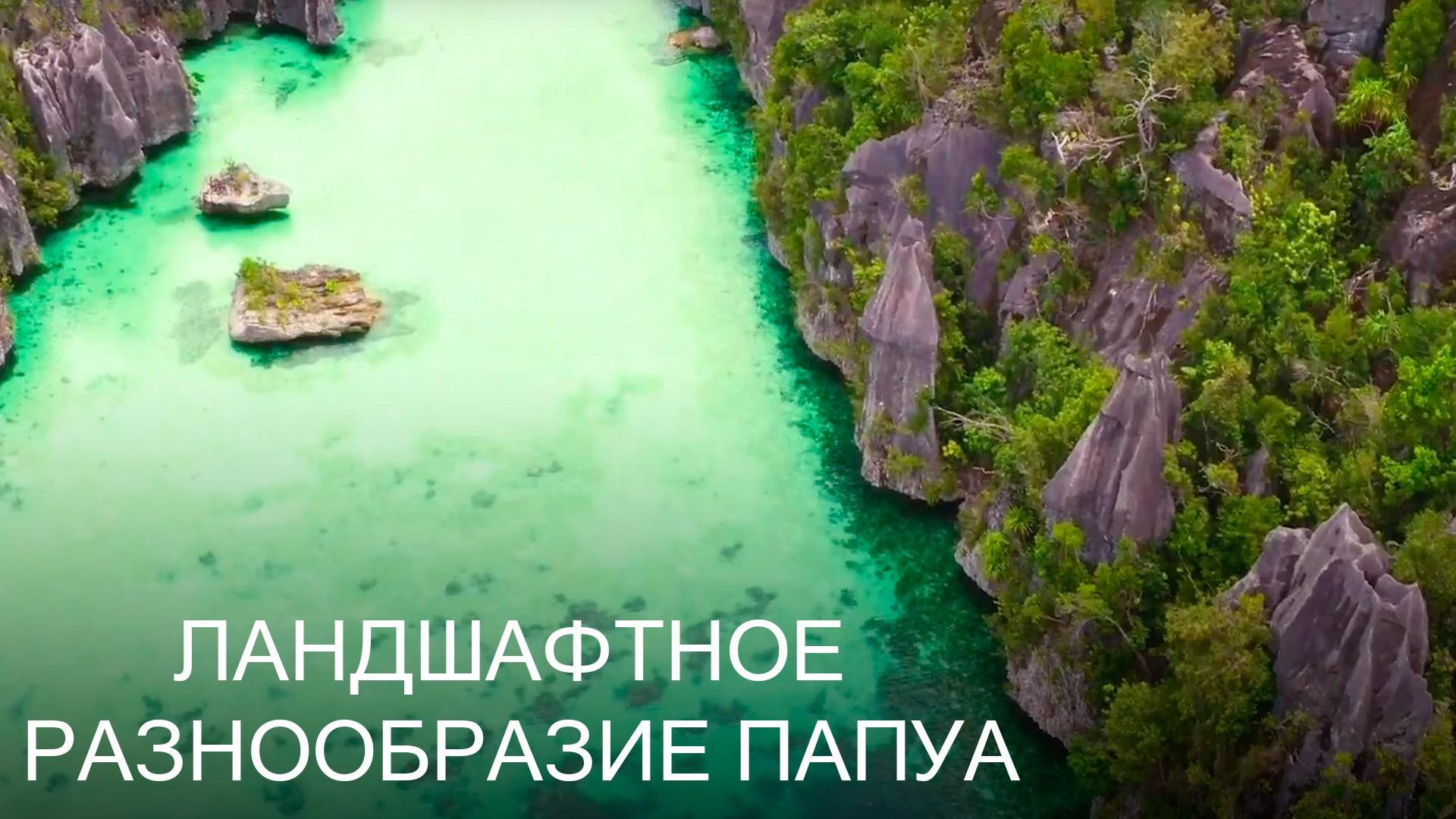Ландшафтное разнообразие Папуа (landshaftnoe-raznoobrazie-papua) Документальный фильм