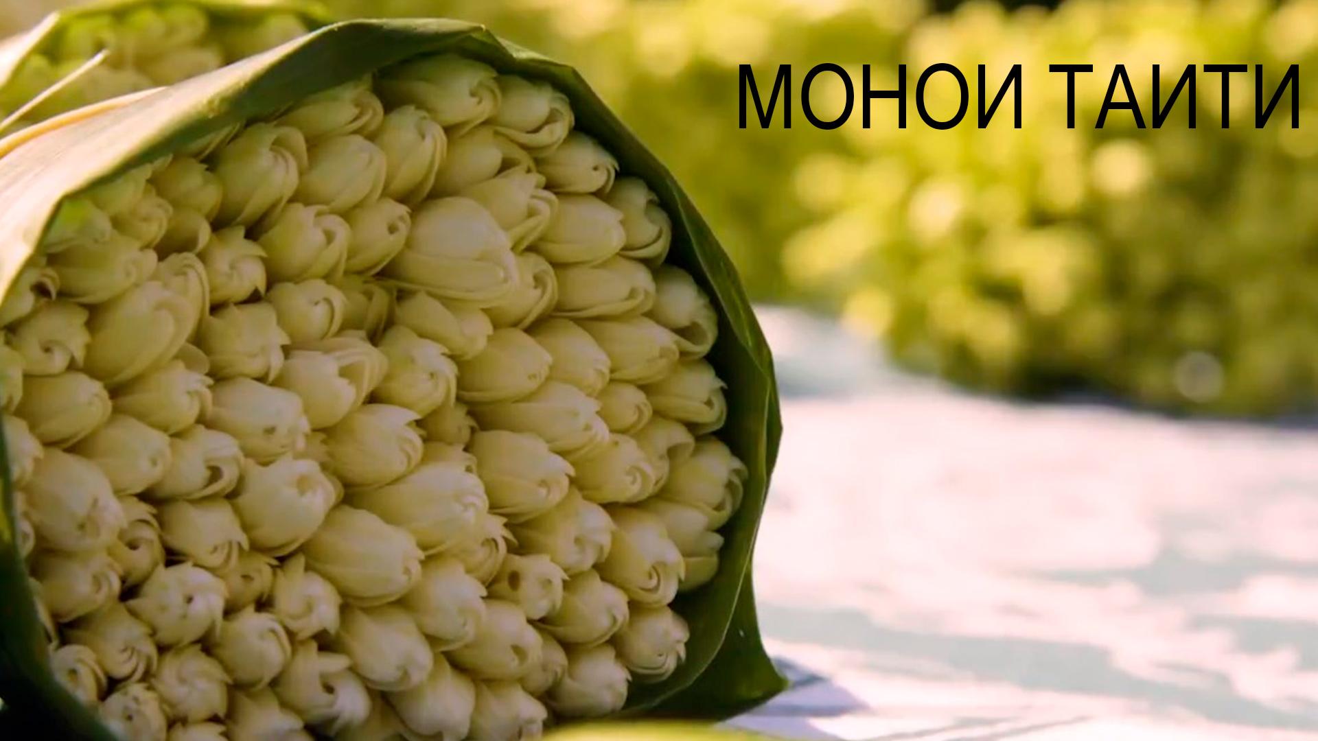 Монои Таити (monoi-taiti) Документальный фильм