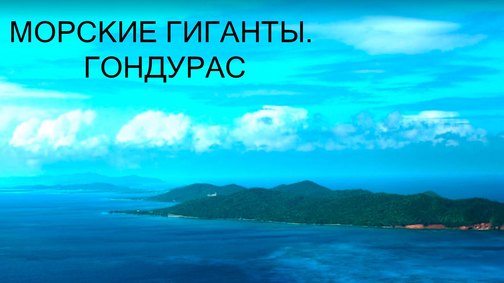 Морские гиганты. Гондурас (morskie-giganty-gonduras) Документальный фильм
