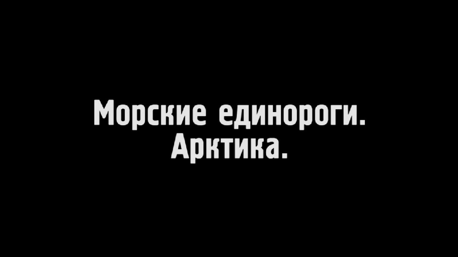 Морские единороги Арктики (morskie-edinorogi-arktiki) Документальный сериал