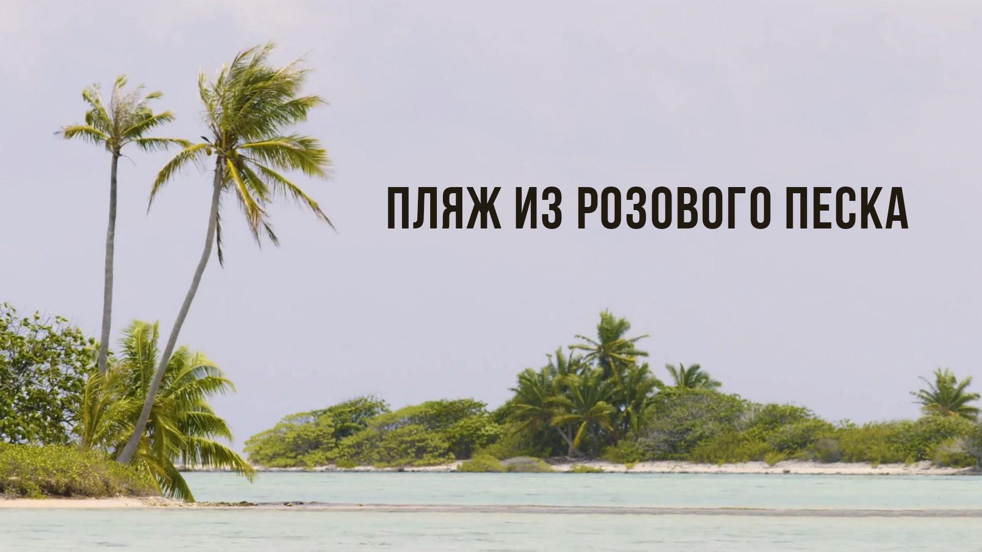 Пляж из розового песка (pljazh-iz-rozovogo-peska) Досуг, хобби