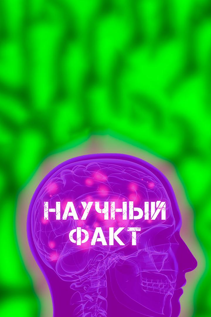 Научный факт (nauchnyj-fakt) Познавательное
