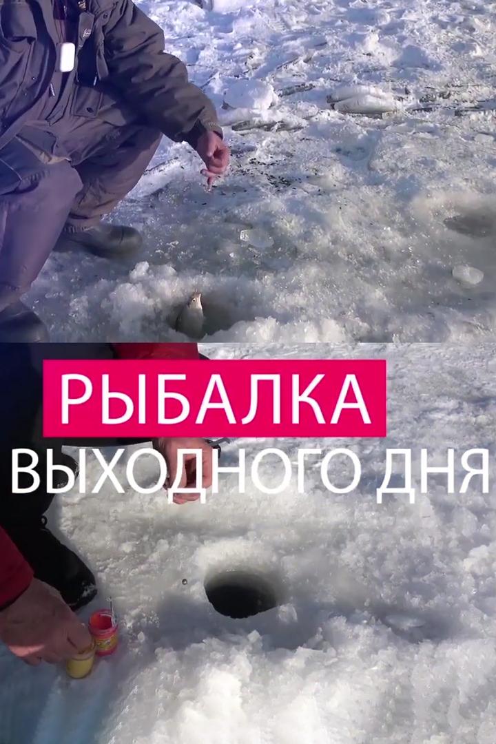 Рыбалка выходного дня (rybalka-vyhodnogo-dnja) Досуг, хобби