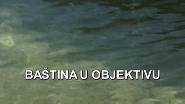 Постер Baština u objektivu