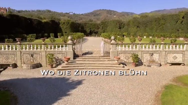 Постер Wo die Zitronen blüh’n-Eine süßsaure Reise von den Alpen bis Sizilien