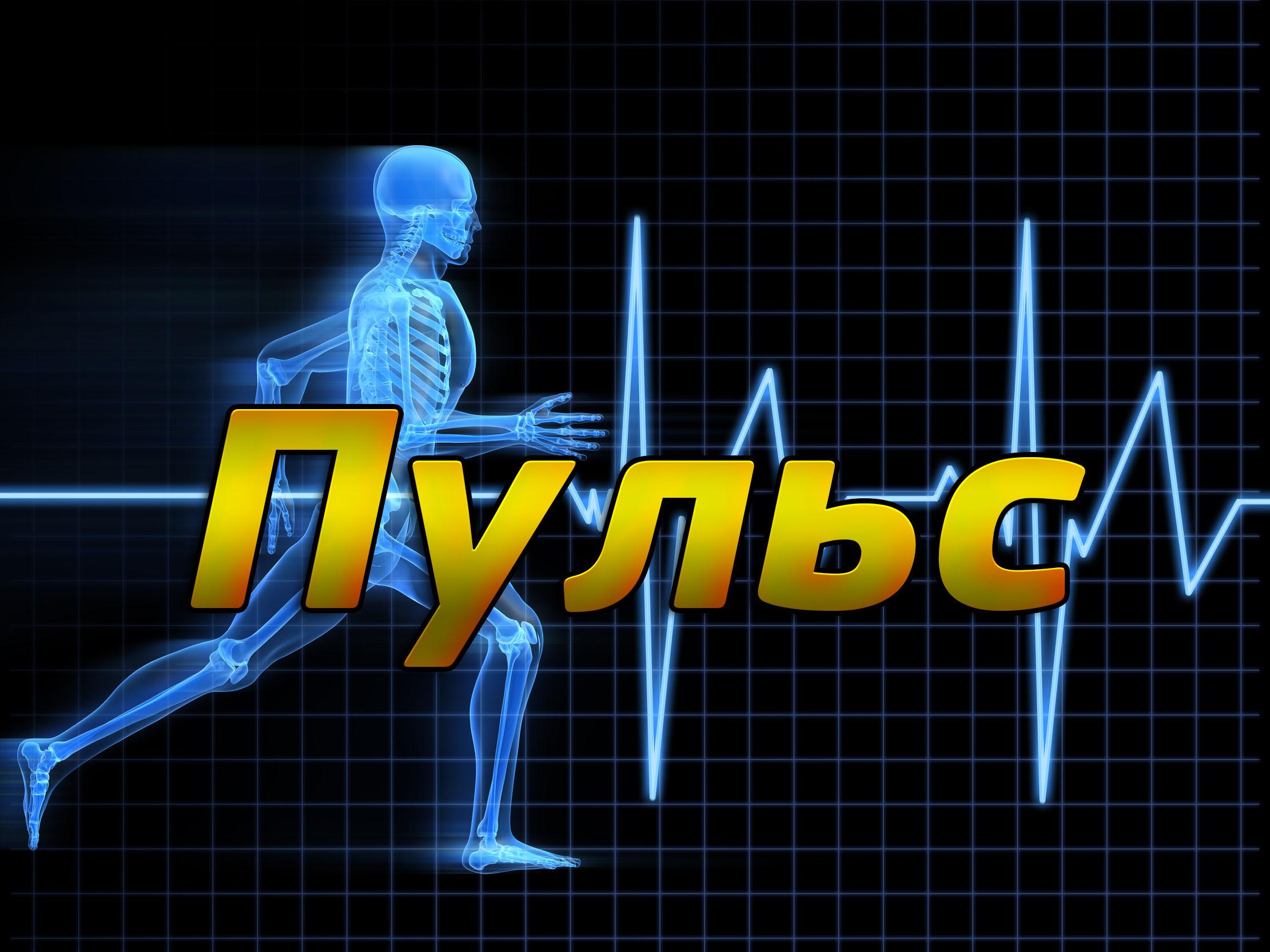 Пульс (puls) Познавательное