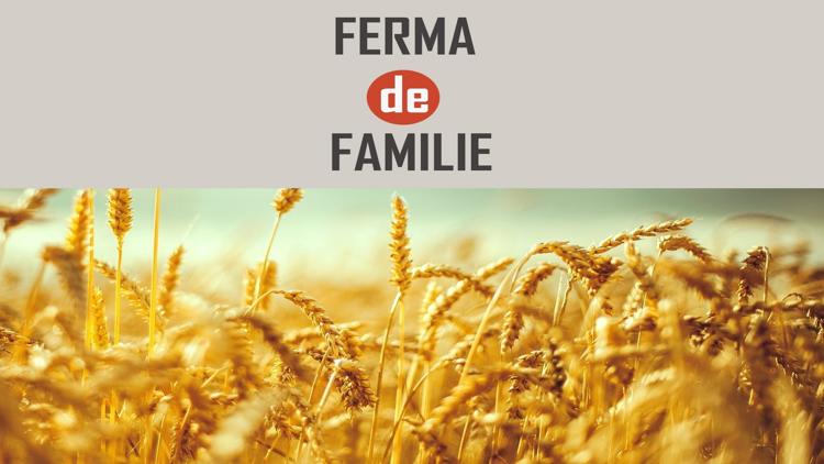 Постер Ferma de familie