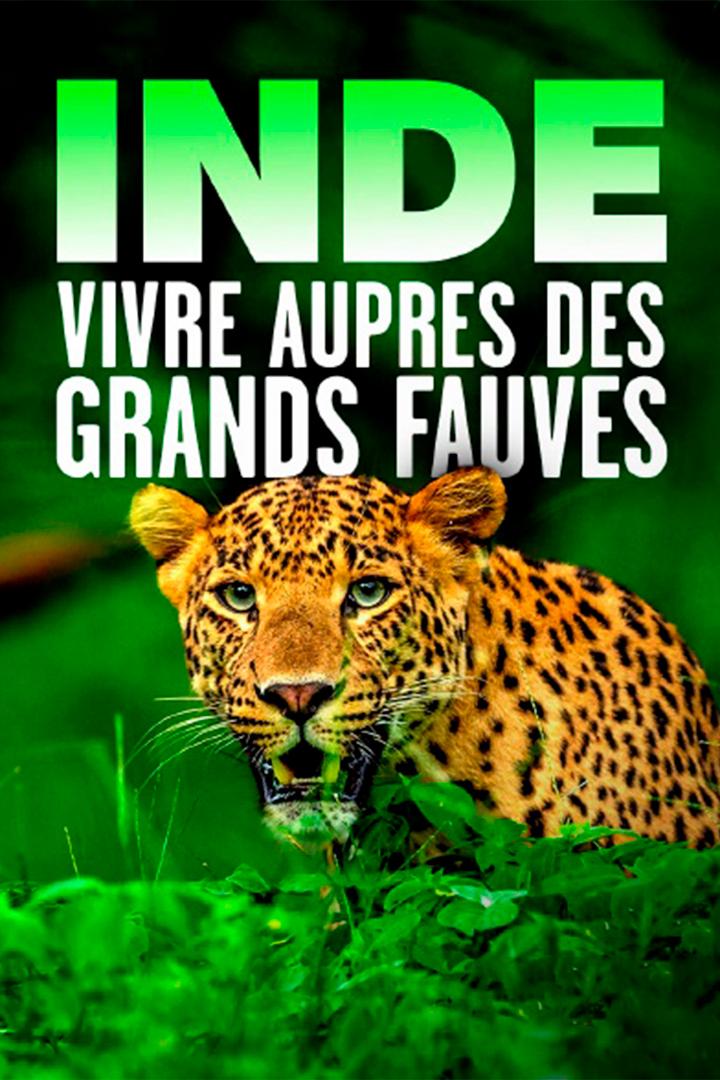 Inde : Vivre auprès des grands fauves (inde-vivre-auprs-des-grands-fauves) Документальный фильм