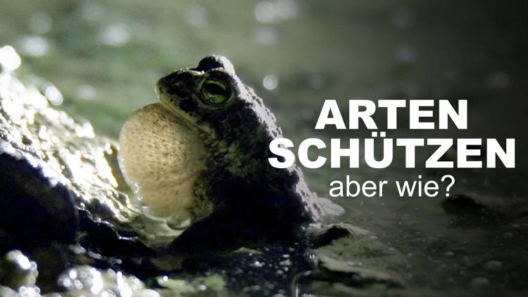 Постер Arten schützen - aber wie?