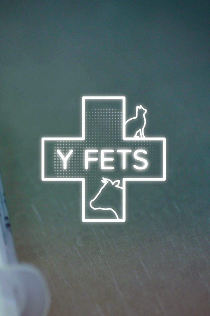 Y Fets (y-fets) Реалити-шоу