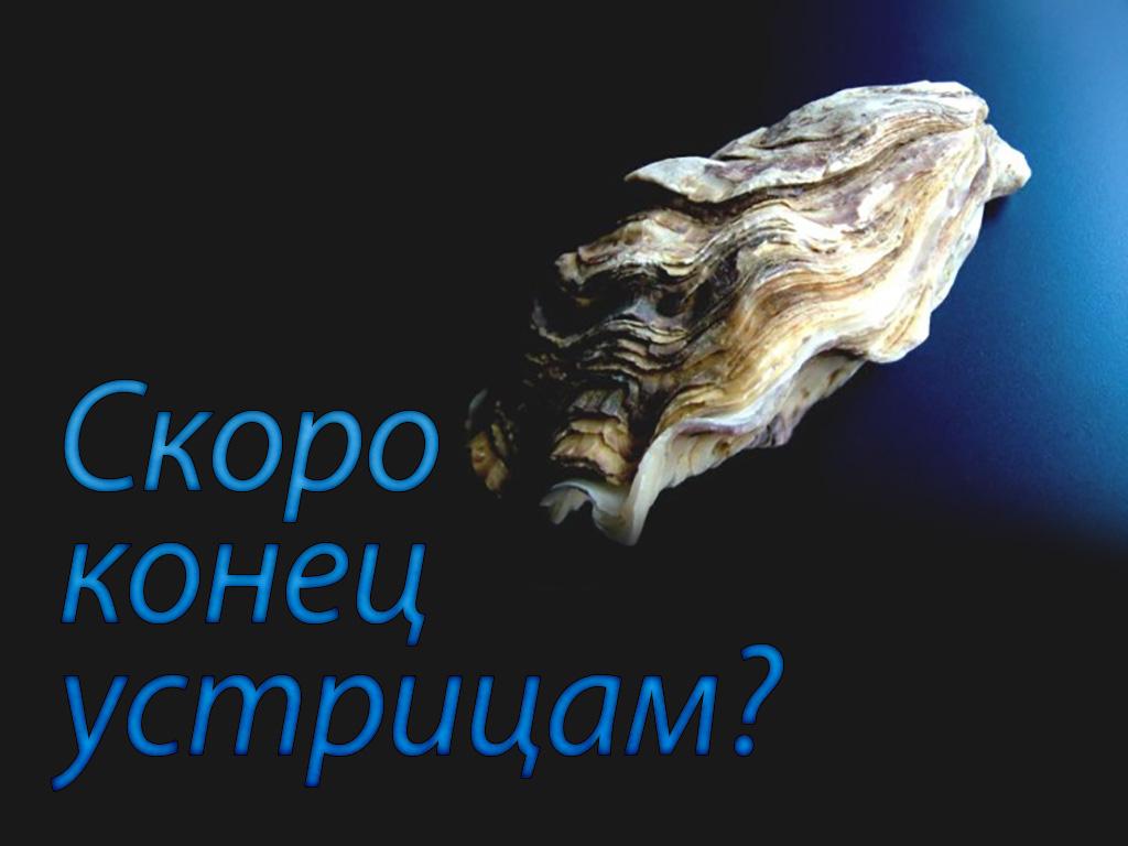 Скоро конец устрицам? (skoro-konets-ustritsam) Документальный фильм