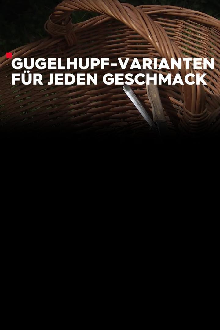 Gugelhupf-Varianten für jeden Geschmack (gugelhupf-varianten-fr-jeden-geschmack) Познавательное