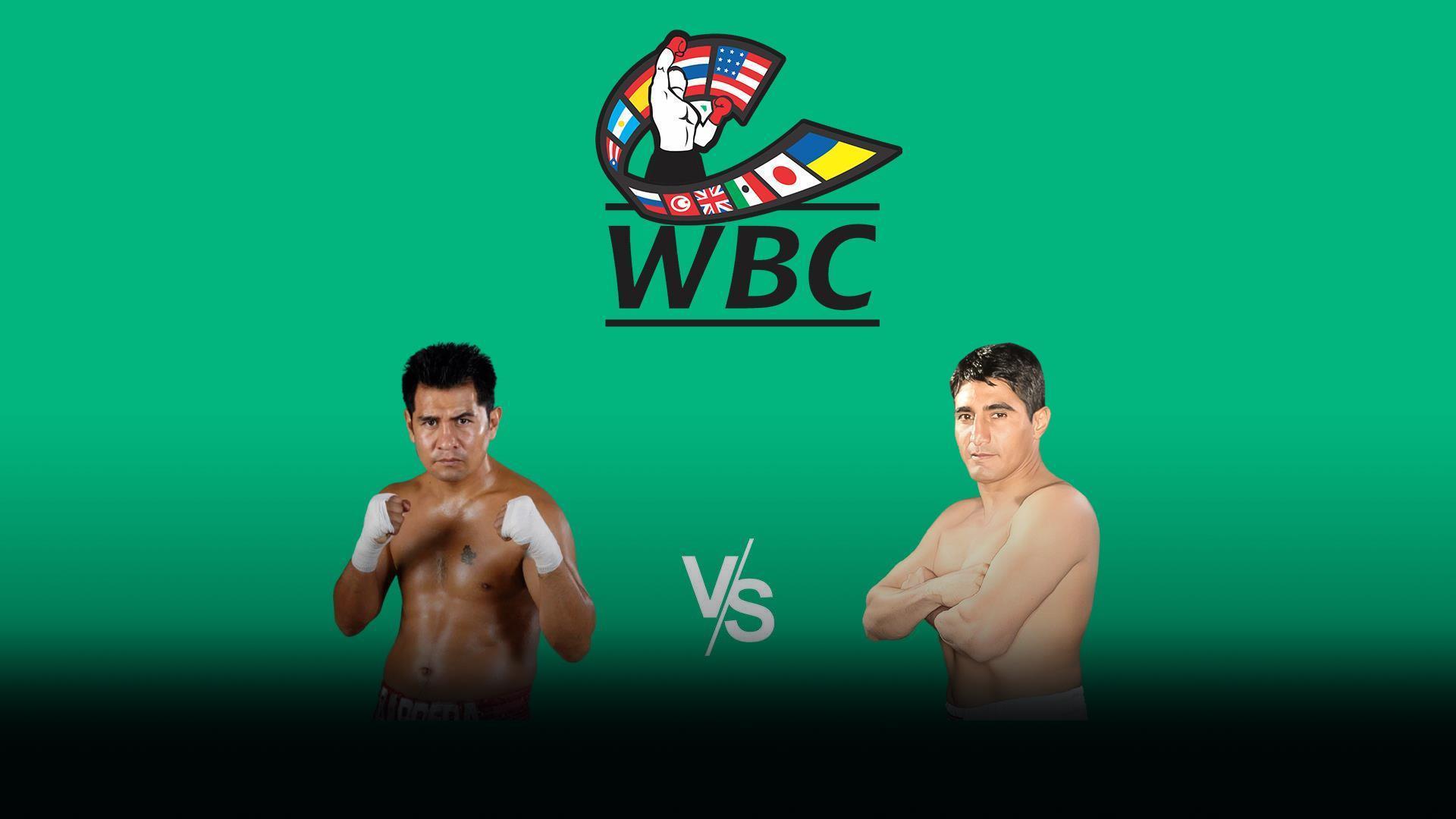 Поединок за титул чемпиона мира по версии WBC в полулегком весе Марко Антонио Баррера - Эрик Моралес. Второй бой (poedinok-za-titul-chempiona-mira-po-versii-wbc-v-polulegkom-vese-marko-antonio-barrera-erik-morales-vtoroj-boj) Спорт