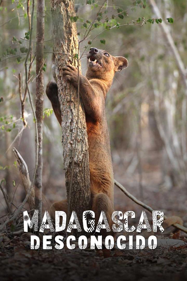 Madagascar desconocido (madagascar-desconocido) Документальный фильм