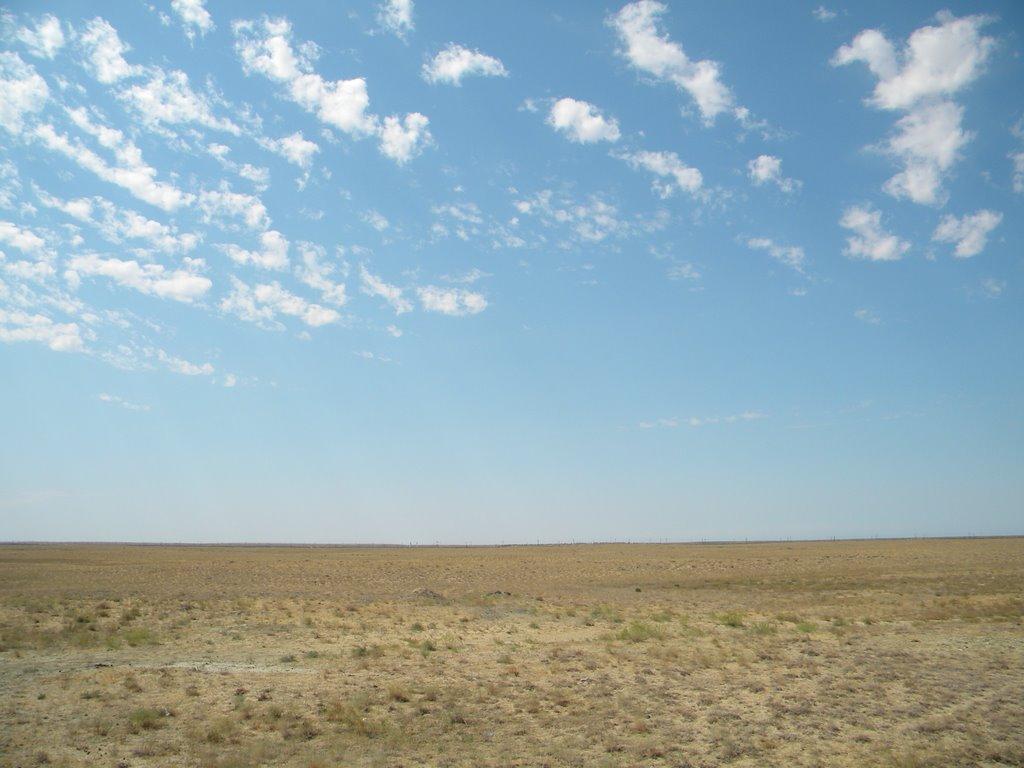 Марафон пустынных степей (marafon-pustynnyh-stepej) ТВ-шоу
