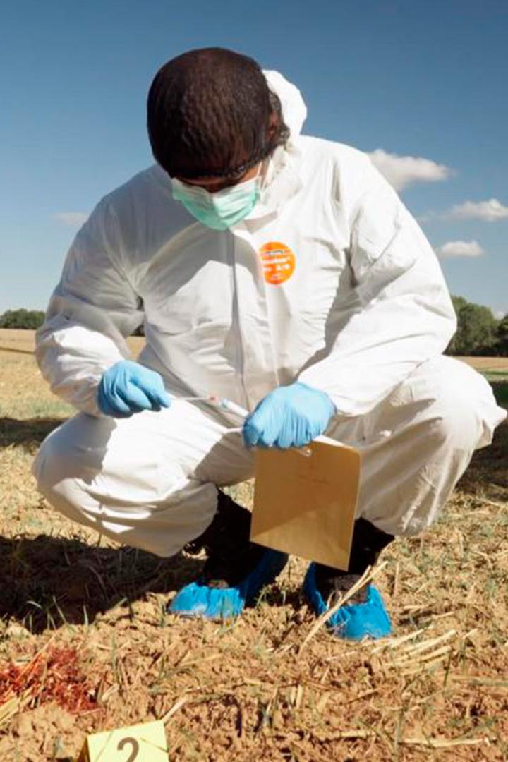 Experts du crime : quand la science mène l'enquête (experts-du-crime-quand-la-science-mne-lenqute) Познавательное