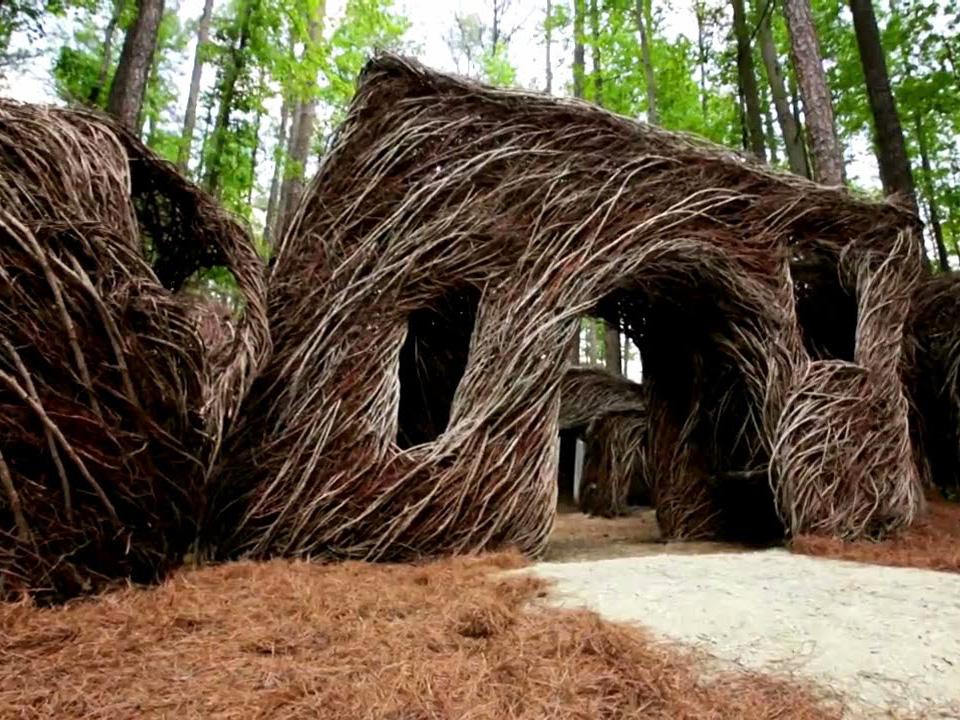 Treehouse Masters: Branched Out (treehouse-masters-branched-out) Реалити-шоу