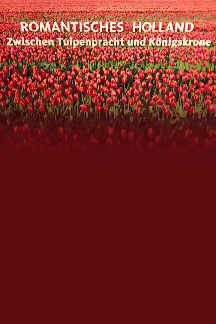 Romantisches Holland – Zwischen Tulpenpracht und Königskrone (romantisches-holland-zwischen-tulpenpracht-und-knigskrone) Документальный фильм