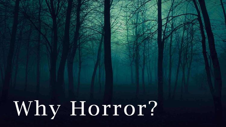 Постер Why Horror?