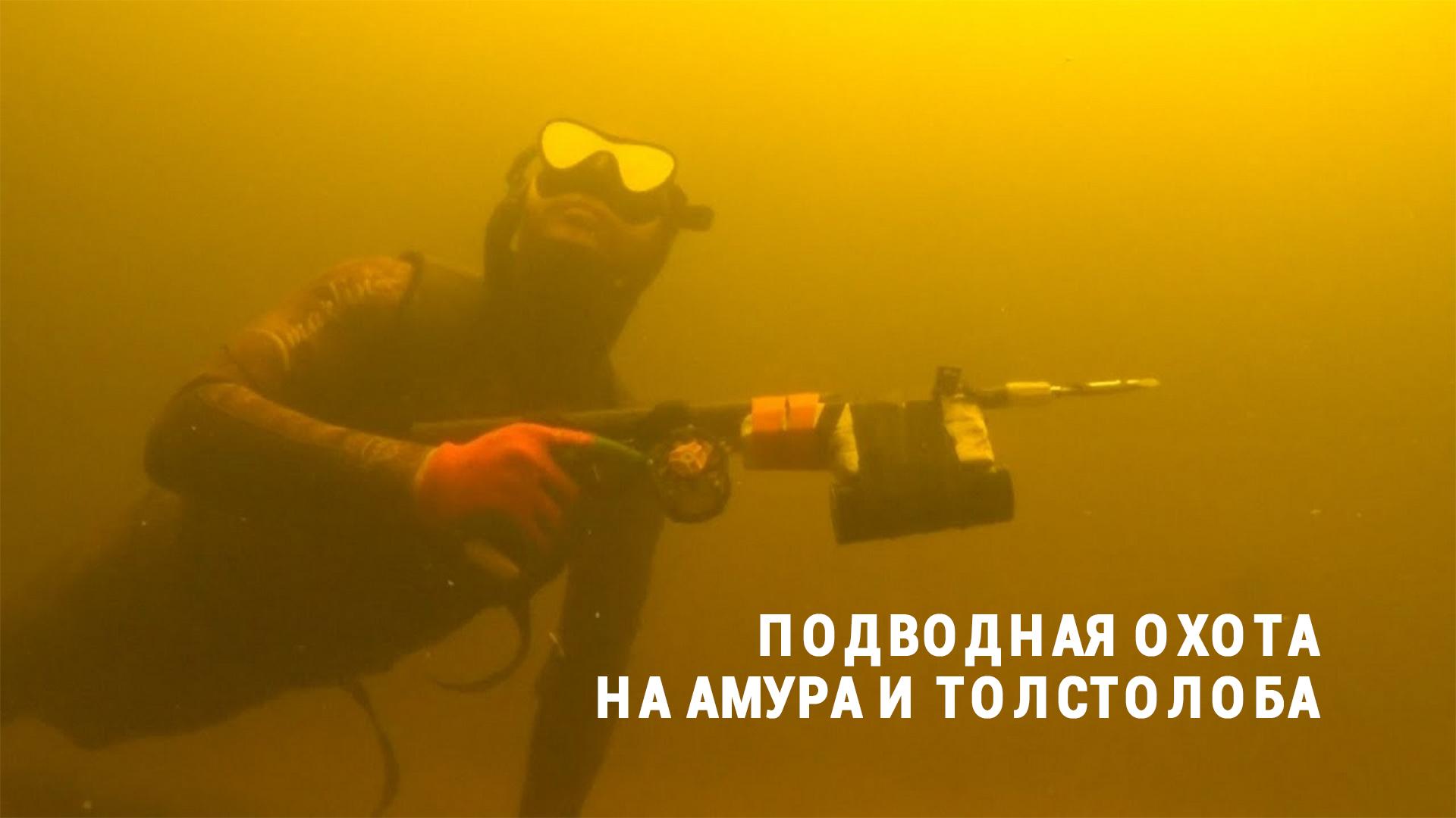 Подводная охота на амура и толстолоба (podvodnaja-ohota-na-amura-i-tolstoloba) Досуг, хобби