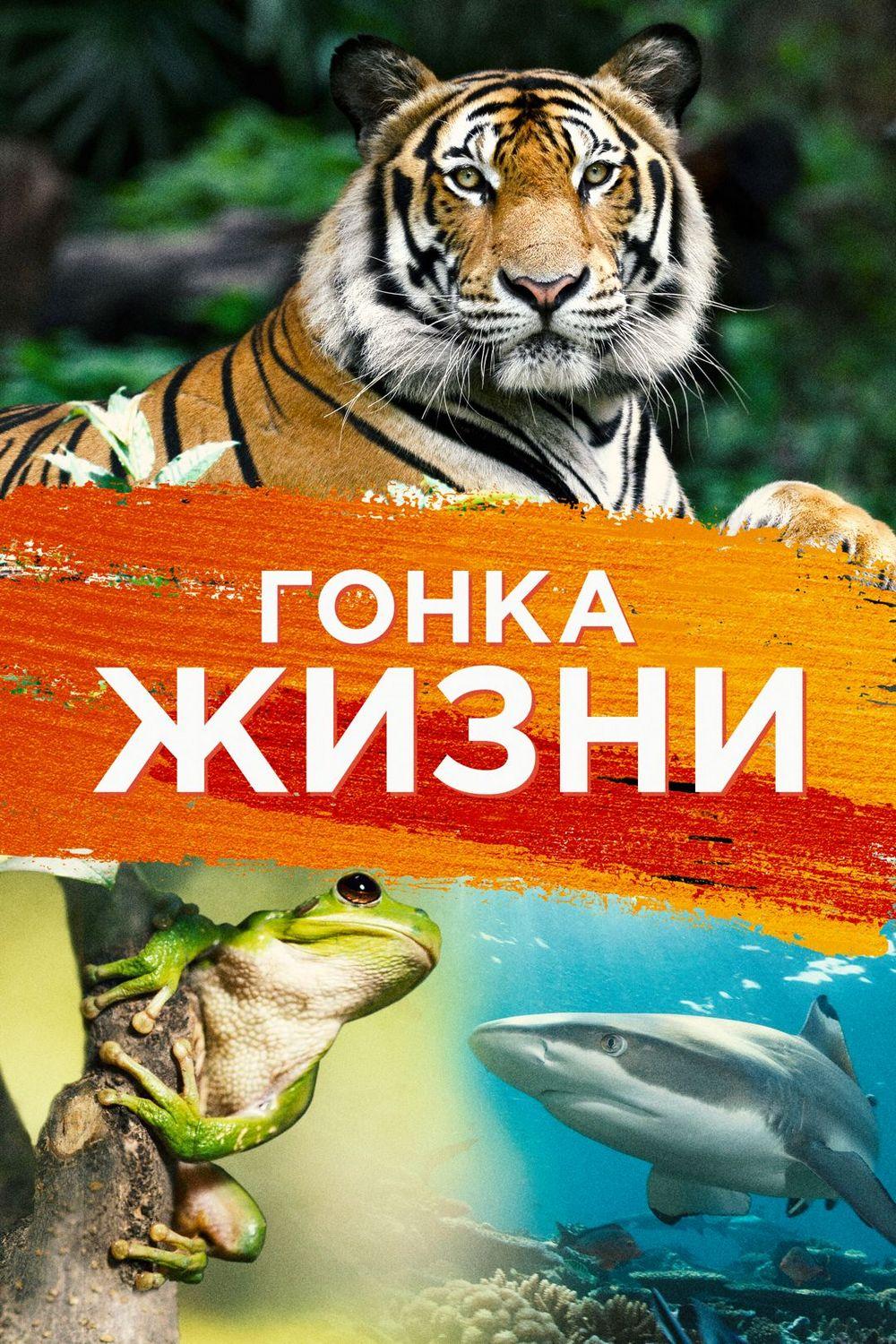 Гонка жизни (gonka-zhizni) Документальный сериал