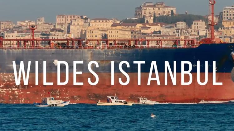 Постер Wildes Istanbul