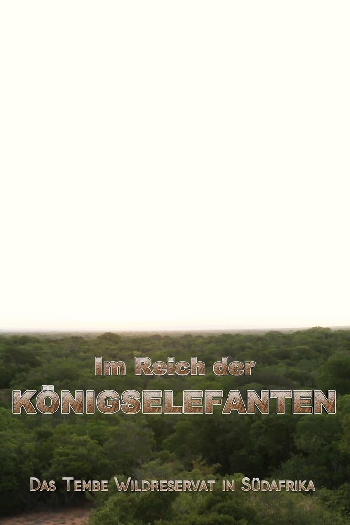 Im Reich der Königselefanten – Das Tembe Wildreservat in Südafrika (im-reich-der-knigselefanten-das-tembe-wildreservat-in-sdafrika) Документальный фильм
