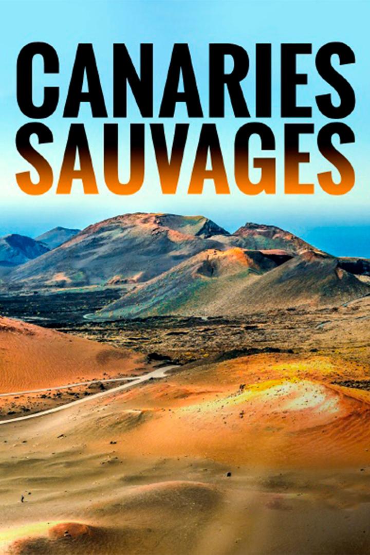 Canaries sauvages (canaries-sauvages) Документальный фильм