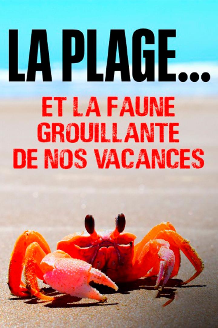 La plage... Et la faune grouillante de nos vacances (la-plage-et-la-faune-grouillante-de-nos-vacances) Документальный фильм