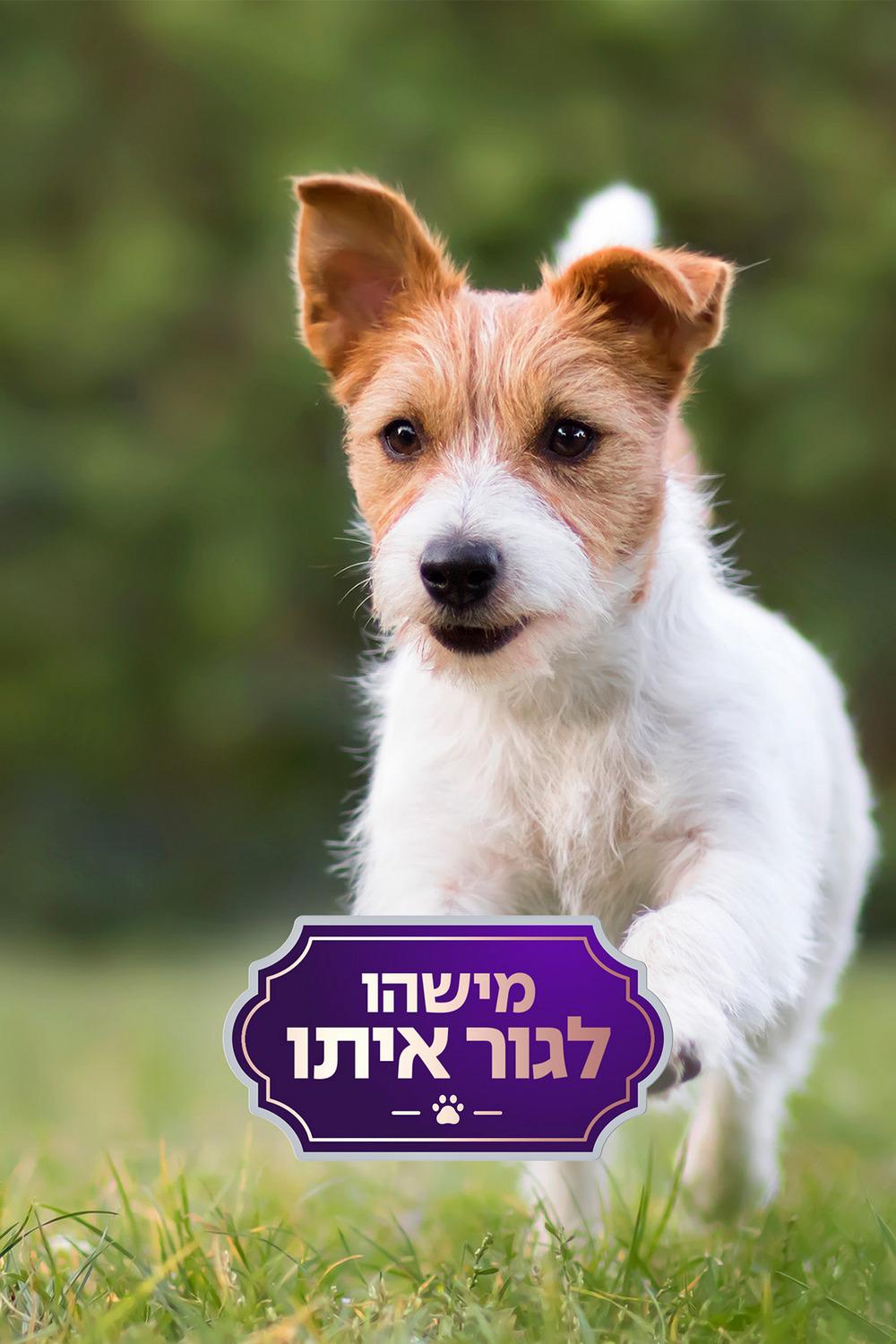 מישהו לגור איתו Сериал