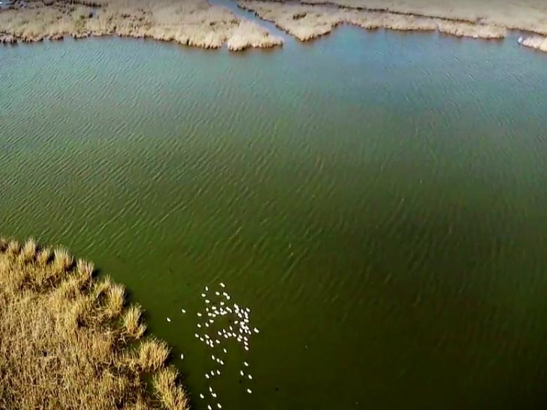 Неизведанная Европа (neizvedannaja-evropa) Документальный сериал