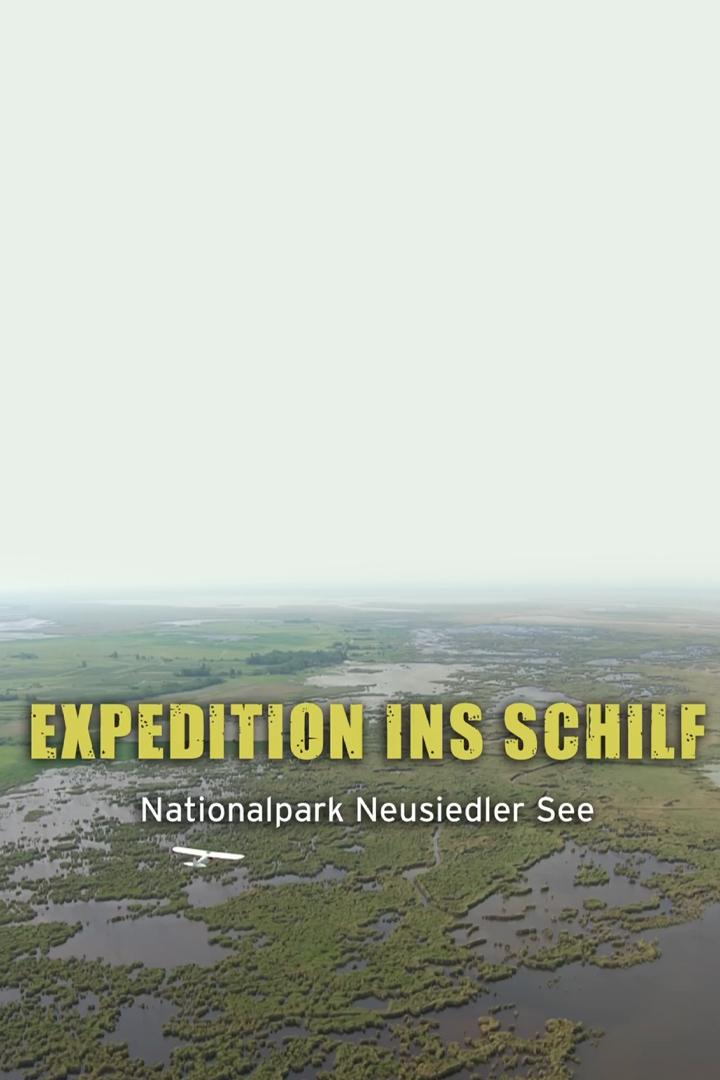 Expedition ins Schilf-Nationalpark Neusiedler See (expedition-ins-schilf-nationalpark-neusiedler-see) Документальный фильм