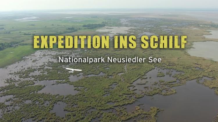 Постер Expedition ins Schilf-Nationalpark Neusiedler See