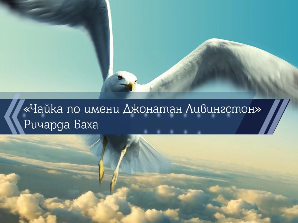 «Чайка по имени Джонатан Ливингстон» Ричарда Баха (chajka-po-imeni-dzhonatan-livingston-richarda-baha) Познавательное