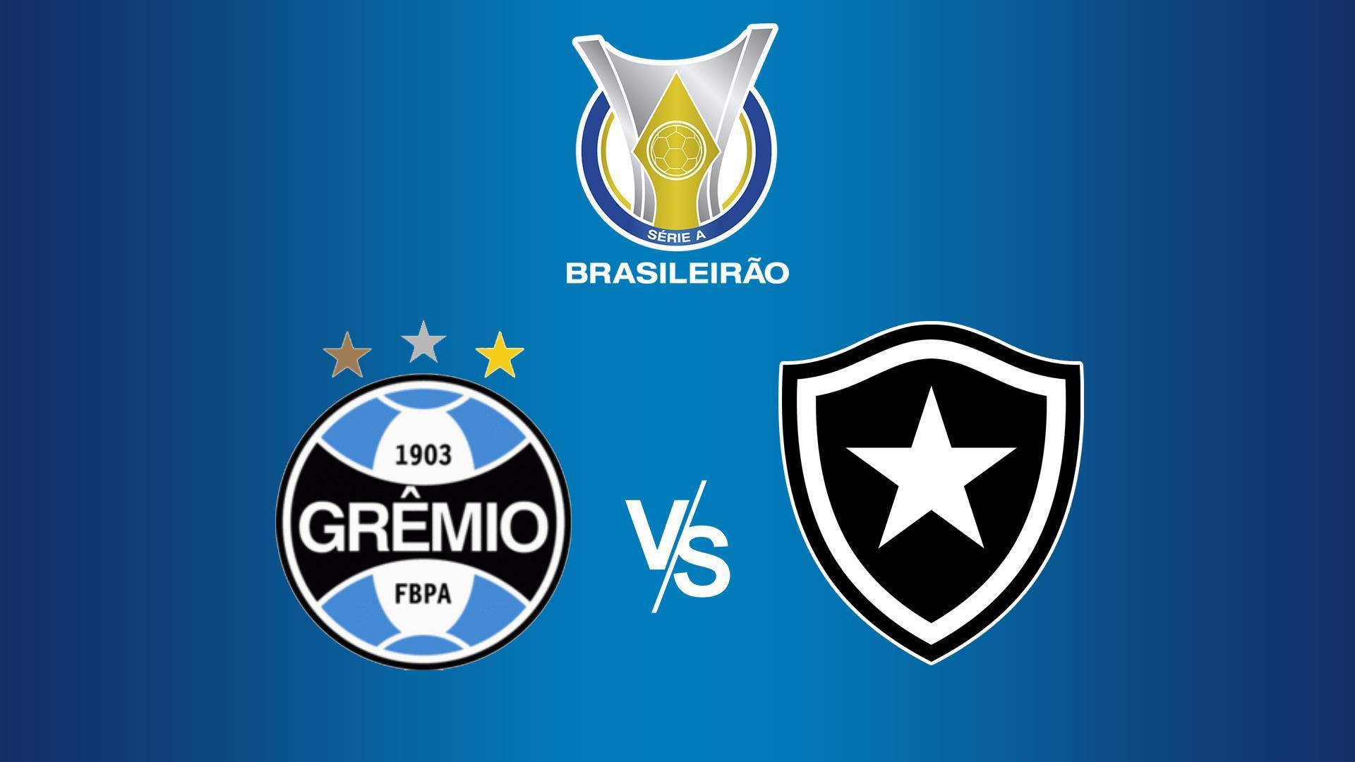 Чемпионат Бразилии. Гремио - Ботафого (chempionat-brazilii-gremio-botafogo) Спорт