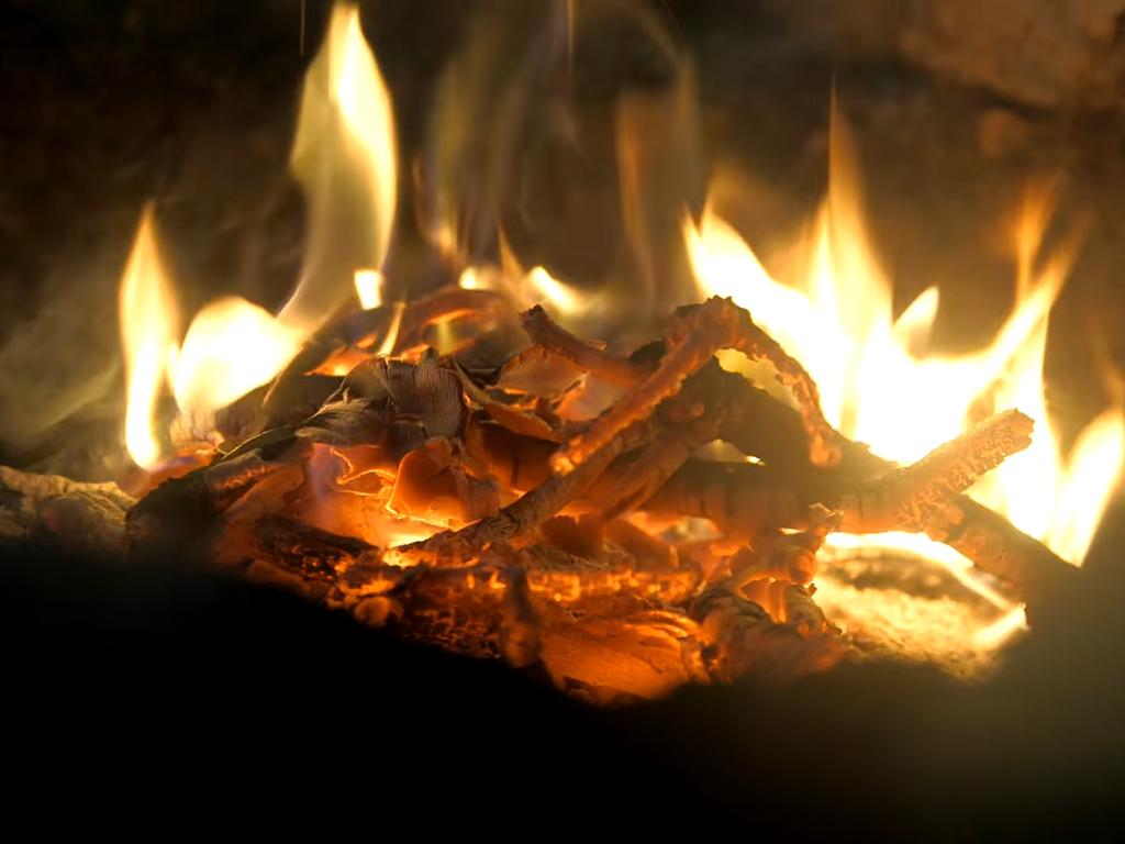 Mauled (mauled) Документальный фильм