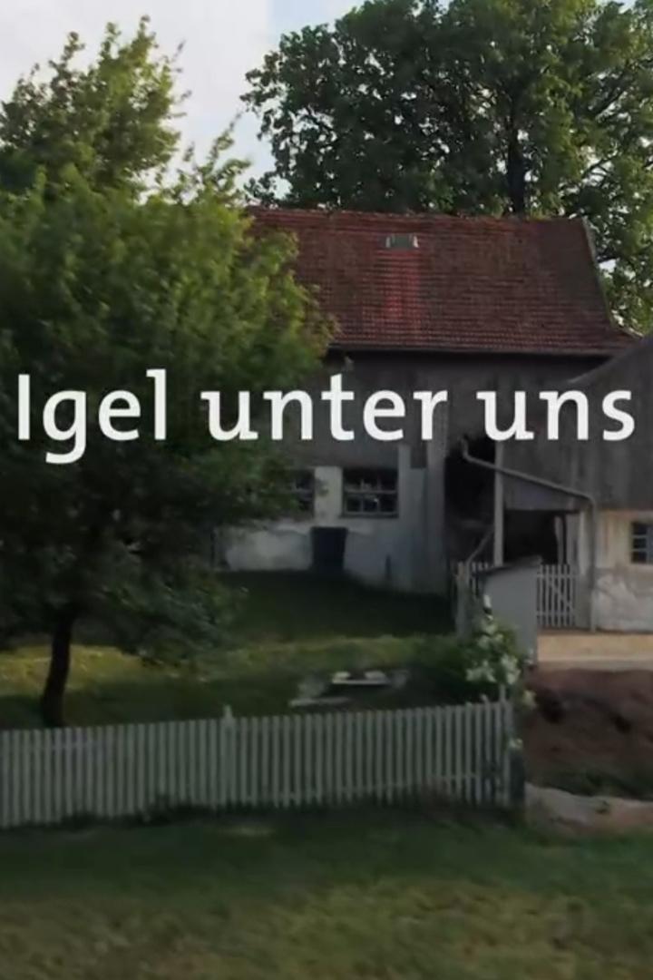 Igel unter uns (igel-unter-uns) Документальный фильм