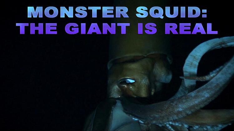 Постер Monster Squid: The Giant is Real