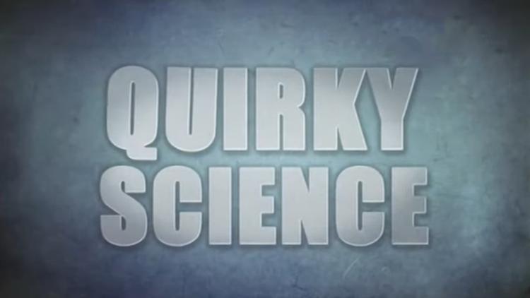 Постер Quirky Science