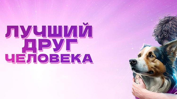 Постер Лучший друг человека