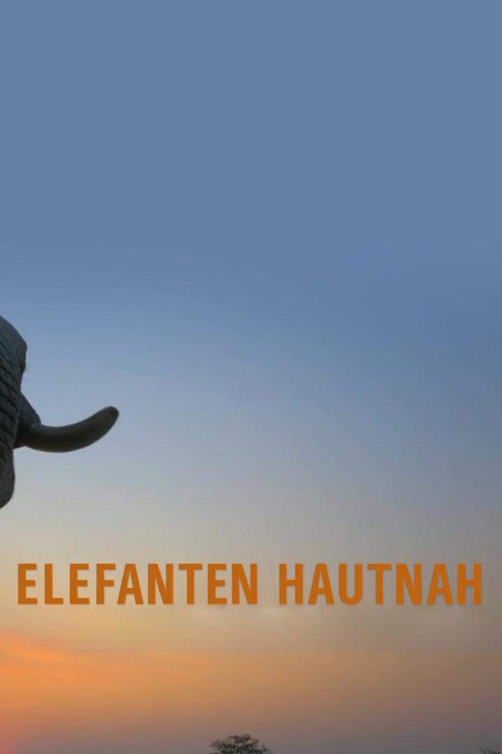 Elefanten hautnah (elefanten-hautnah) Документальный фильм