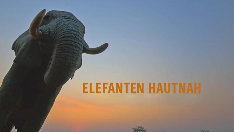 Постер Elefanten hautnah