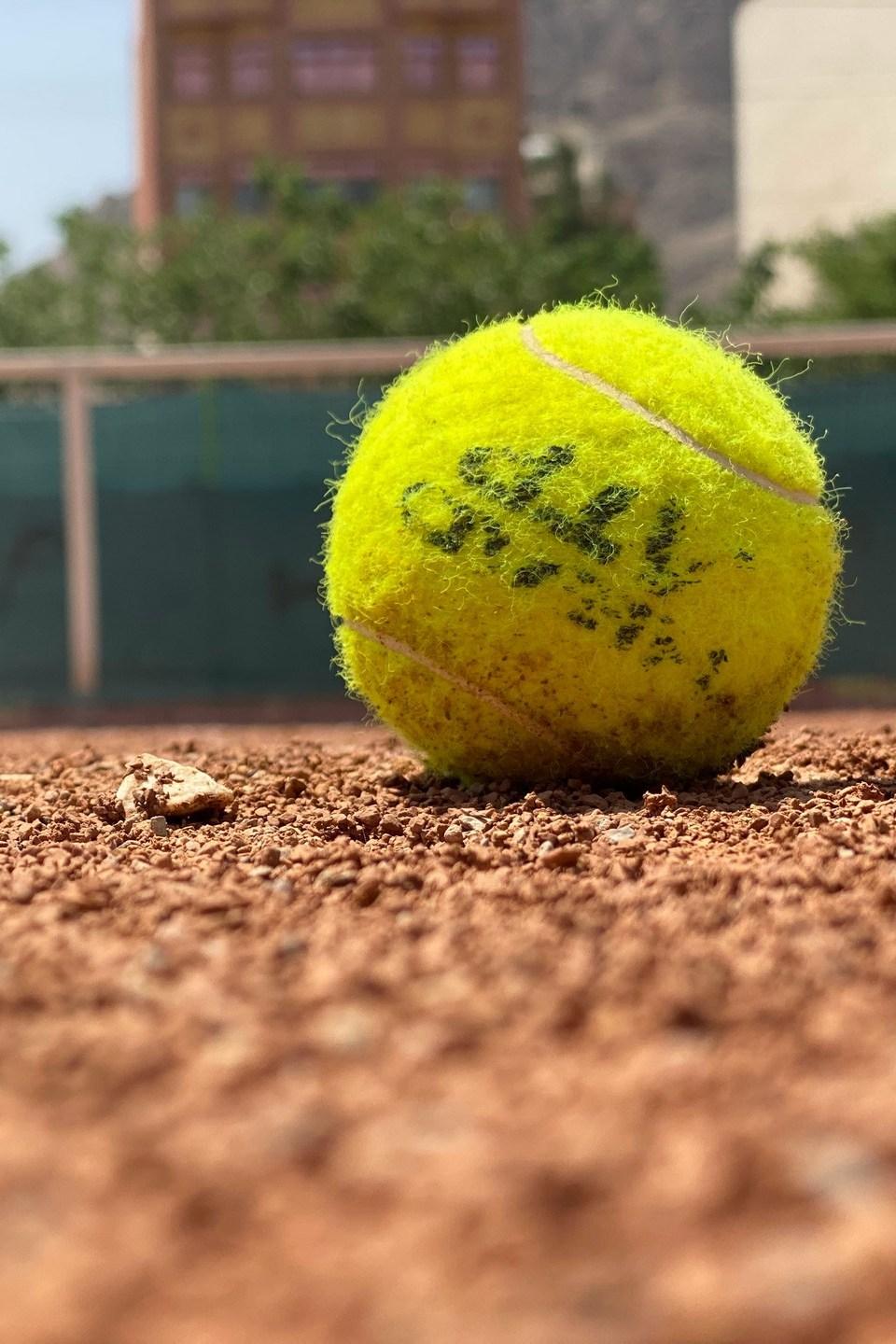 Wimbledon Tenis Turnuvasi 2023 Özetler (wimbledon-tenis-turnuvasi-2023-zetler) Досуг, хобби