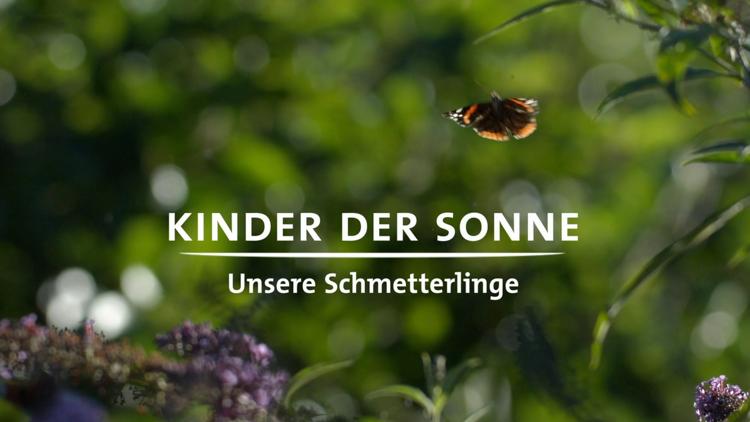 Постер Kinder der Sonne-Unsere Schmetterlinge