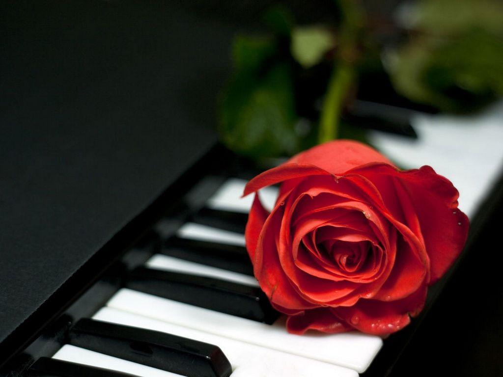 Музыка для двоих (muzyka-dlja-dvoih) Сериал 2016