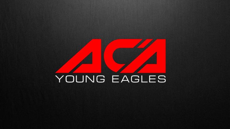 Постер Смешанные единоборства. АСА Young Eagles. Али Сулейманов против Арсена Нерсесяна. Исмаил Сагов против Мусы Абдурахманова. Трансляция из Грозного