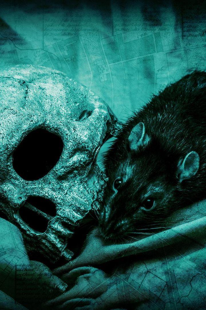 The Great Plague (the-great-plague) Документальный сериал