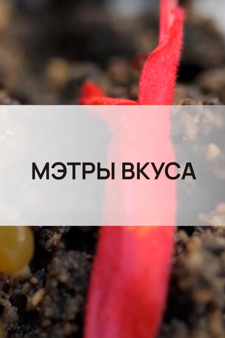 Мэтры вкуса (metry-vkusa) Познавательное