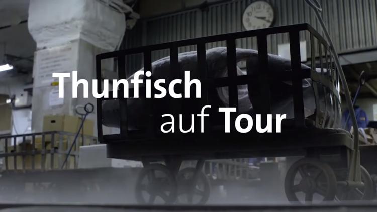 Постер Thunfisch auf Tour — Tokios Fischmarkt zieht um